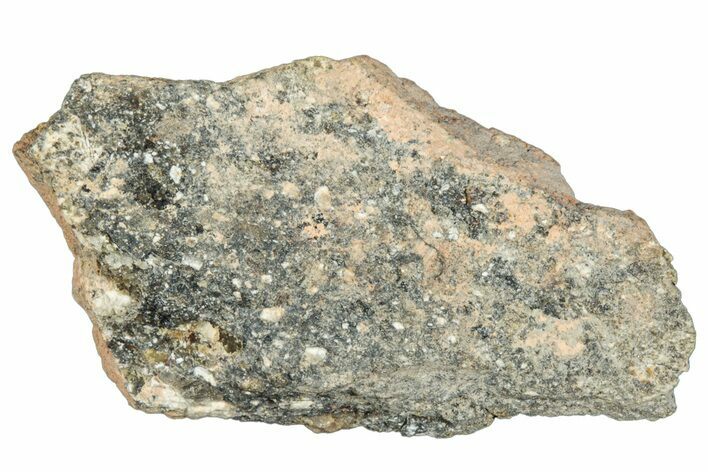 Howardite Meteorite ( g) - Bechar #288538